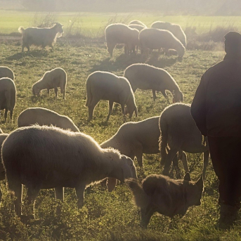 Unos 5.800 agricultores y ganaderos cántabros en módulos verán rebajado su IRPF en 2025 Unos 5.800 agricultores y ganaderos cántabros en módulos verán rebajado su IRPF en 2025