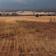Asaja tacha de insuficiente la rebaja de módulos del IRPF para el sector agrario