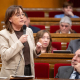 Paneque calcula que la ley de biodiversidad llegará al Parlament antes de que termine 2026