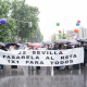 El Congreso aborda la ley que habilita la pasarela al RETA para los mutualistas colegiados