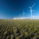 Parque eólico de Iberdrola IBERDROLA