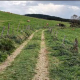 Adjudicada la mejora de la red de caminos rurales en Villamartín, Santa Eulalia de Oscos