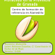 Alamedilla celebra este viernes el primer foro provincial sobre el cultivo del pistacho