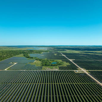 Repsol ha iniciado la operación comercial en su proyecto 'Pinnington Solar' REPSOL