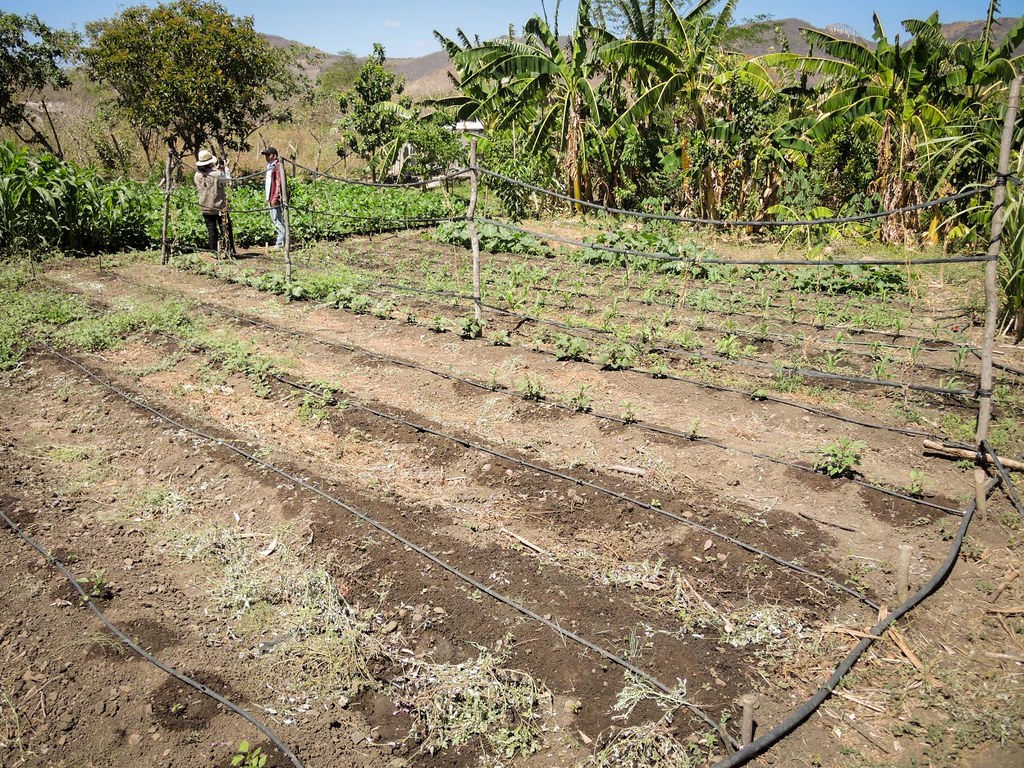 Proyecto de riego de la FAO en Honduras.
