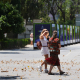 Ola de calor | Europa Press