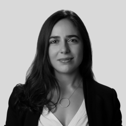 OPINIÓN (40)