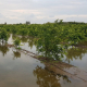 Ava-Asaja reclama a la Generalitat consensuar los parques inundables con el campo valenciano