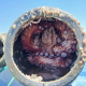 Gardacostas decomisa más de 267 kilos de pulpo y 561 cacharros en la Ría de Arousa y en A Guarda
