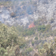 Andalucía exige al Estado ayudas urgentes por el grave incendio agrícola en Huelva