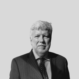 OPINIÓN (6)