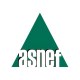 Logo de Asnef. ASNEF