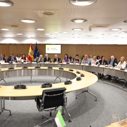 El ministro de Hacienda, Arcadi España (c), preside una reunión del Consejo de Política Fiscal y Financiera (CPFF) en el Ministerio de Hacienda, a 6 de julio de 2026, en Madrid | Eduardo Parra 