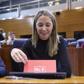 La portavoz del PSOE en la Asamblea, Mar Espinar, durante un pleno en la Asamblea de Madrid Jesús Hellín - Europa Press La portavoz del PSOE en la Asamblea, Mar Espinar, durante un pleno en la Asamblea de Madrid Jesús Hellín - Europa Press