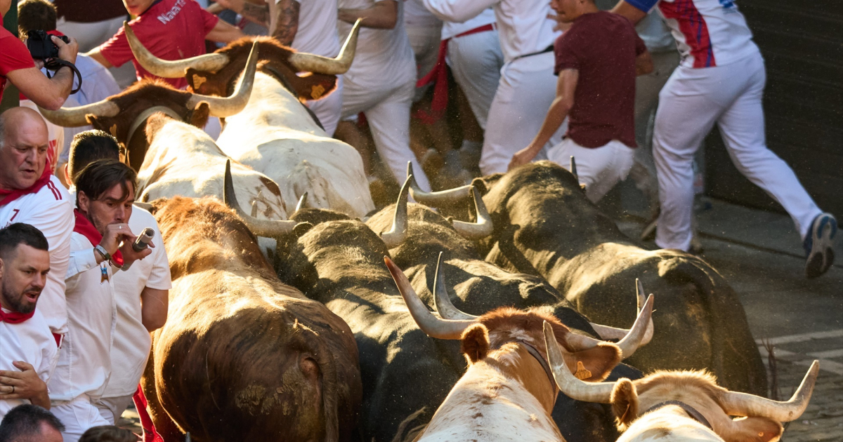 Woman Passes Away in Bull Run After Being Attacked By Enraged Bull