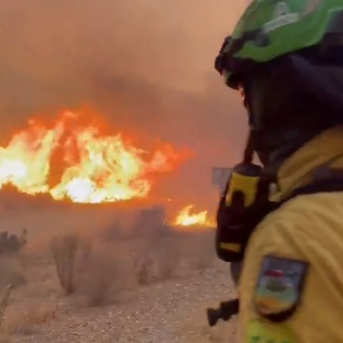 Un bombero forestal combate el incendio declarado en Los Gallardos (Almería). EMA INFOCA
