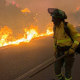 Dos bomberos trabajan para extinguir el fuego en un incendio forestal, a 10 de julio de 2026, en Los Gallardos, Almería, Andalucía (España).  Plan Infoca
