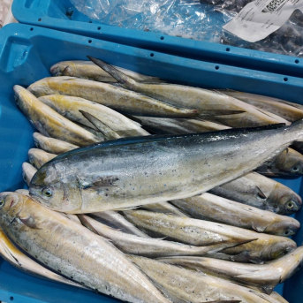 El Govern y OPMallorcamar plantean un sello para distinguir a los restaurantes que apuestan por el pescado local El Govern y OPMallorcamar plantean un sello para distinguir a los restaurantes que apuestan por el pescado local
