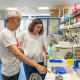 Investigadores del CNIO describen un nuevo tipo de progeria y descubren una mutación que causa envejecimiento acelerado CNIO
