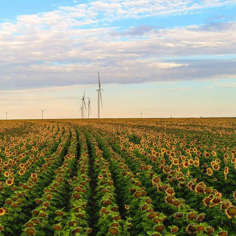 Amazon alcanza 100 proyectos de energía renovable en España tras sumar siete proyectos en 2025 AMAZON Amazon alcanza 100 proyectos de energía renovable en España tras sumar siete proyectos en 2025 AMAZON