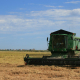 Agricultores e industria alertan del uso del arroz como gancho comercial a precios artificialmente bajos