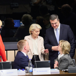 European Comission 
