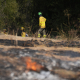 EuropaPress 7670642 efectivos infoca trabajan extincion incendio declarado camas sevilla 17