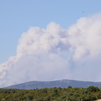 EuropaPress 7677810 vista humo incendio forestal 20 julio 2026 guadalajara castilla la mancha EuropaPress 7677810 vista humo incendio forestal 20 julio 2026 guadalajara castilla la mancha
