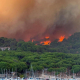 Incendio forestal. FEMP