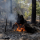 Los incendios forestales han quemado en España seis veces más hectáreas que las contabilizadas en el mismo periodo de 2025 | Alberto Ortega/Europa Press.