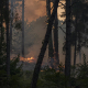 Vista del incendio cerca de la Charca de la Nieta, a 26 de julio de 2026, en Piedralaves, Ávila, Castilla y León (España).  Gabri Solera - Europa Press