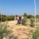 La Generalitat acelera la ampliación del riego en la Serra del Rovelló (Tarragona)