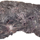 Pangea madera fosilizada