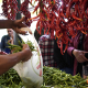La IGP Pimiento de Gernika incorpora oficialmente la producción ecológica