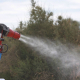 Un pick up nebulizador interviene en la campaña para el tratamiento contra los mosquitos que propagan el Virus del Nilo Occidental (VNO). Rocío Ruz - Europa Press