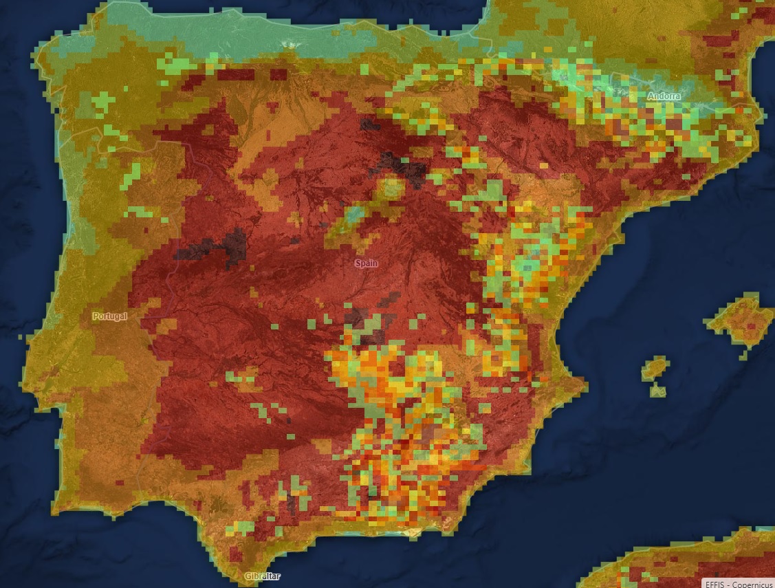 mapa incendios 14 agosto