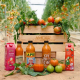Gazpachos y salmorejos de AMC Natural Drinks Group AMC NATURAL DRINKS GROUP