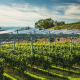 Eurecat se suma al consorcio Tecsol-Frut para impulsar la tecnología agrivoltaica en frutales