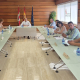 Castilla y León estudia frenar el daño de la avispa asiática a la apicultura con trampeo de feromonas y revisar las indemnizaciones