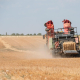 UPA alerta de que las explotaciones familiares agrícolas en C-LM están en serio riesgo de desaparición