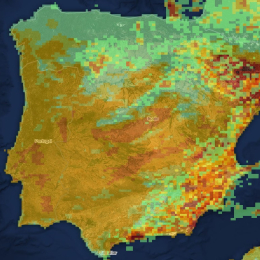 Mapa de incendios en España del 21 agosto. EFFIS