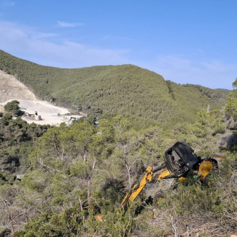 Finaliza la restauración de 134 hectáreas forestales para reforzar la prevención de incendios en Baleares Finaliza la restauración de 134 hectáreas forestales para reforzar la prevención de incendios en Baleares