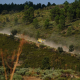 EuropaPress 7722540 efectivos bomberos desplazan realizar labores extincion incendio