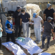 El Ministerio de Sanidad proporcionará vacunas a Ceuta. Marcos Moreno/Europa Press.
