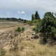 Zona afectada por la dana AVA-ASAJA