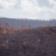 incendios forestales 26 agosto
