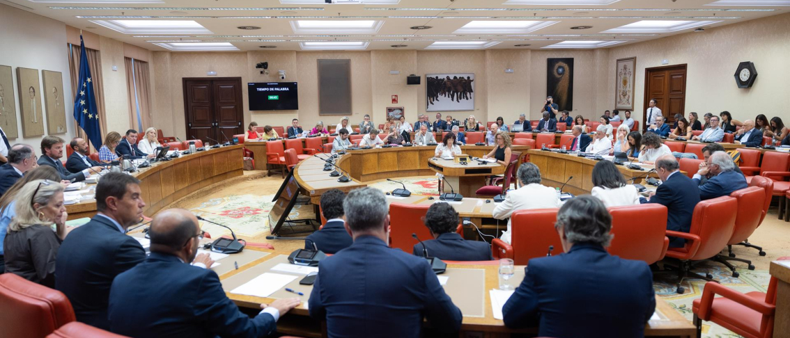 Reunión de la Diputación Permanente del Congreso de los Diputados | Jesús Hellín - Europa Press Reunión de la Diputación Permanente del Congreso de los Diputados | Jesús Hellín - Europa Press