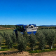 Jarc reclama ampliar la cosecha mecanizada del olivar y compatibilizar fauna y trabajo agrario