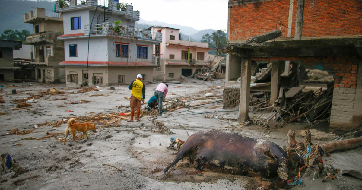 China raises to 16 the citizens dead due to the severe floods in Nepal