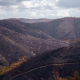 La Junta declara desastre natural por el incendio de Niebla en el potencial agrario y forestal